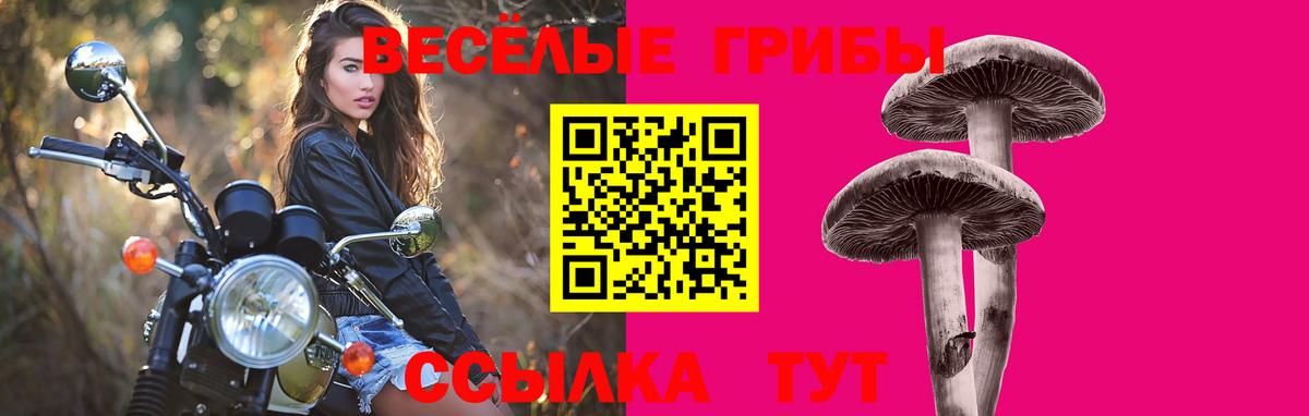 Медногорск  Псилоцибиновые грибы мухоморы  хочу   Вход с VPN 