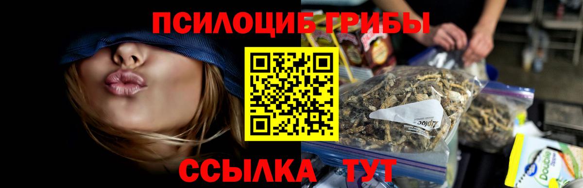 Галлюциногенные грибы Psilocybe Медногорск